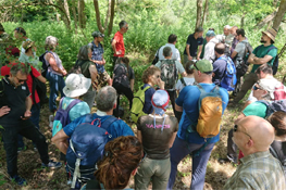 Descrizione sul campo degli interventi in progetto/2