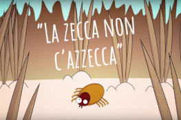 Filmato: La zecca non ci azzecca