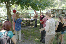 Gli aspetti naturalistici dei Laghi illustrati alla delegazione svedese