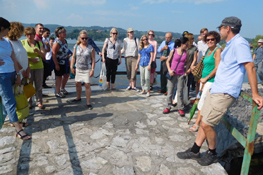 Visita al Lago di Viverone/2