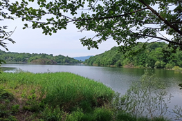 Panorama del Lago Pistono