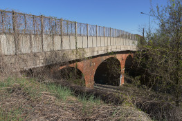 Vegetazione presso ferrovia