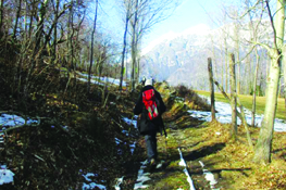 Passeggiate sui percorsi lungo la Dora Riparia