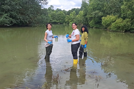 Campionamento estivo delle acque presso il lago di Arignano