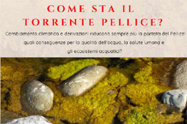 Come sta il Torrente Pellice?