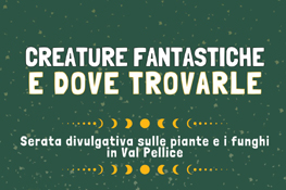 Creature fantastiche e dove trovarle