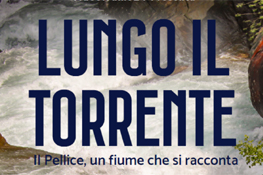 Locandina Lungo Il Torrente
