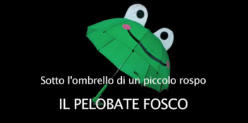 Il Pelobate fosco