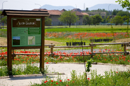 Il Rain Garden di Collegno
