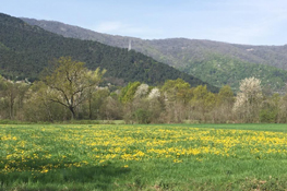 Panorama sul percorso di Corona Verde