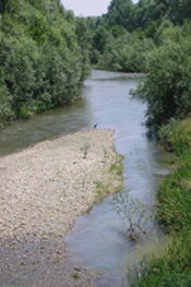 Torrente Sangone a Rivalta