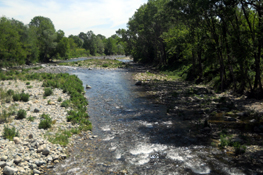 Il Torrente Sangone a Rivalta