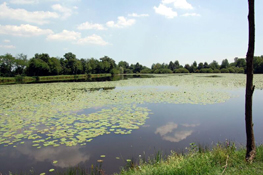 Il Lago Borgarino - (Foto: Comune di San Gillio)