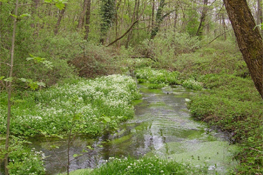 Scorci suggestivi lungo il Sentiero delle Fontane (foto: Piero Beria)