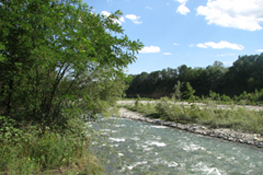 La Stura di Lanzo a San Maurizio Canavese