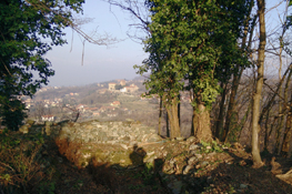 Vista su Roppolo dal Colle di San Giacomo