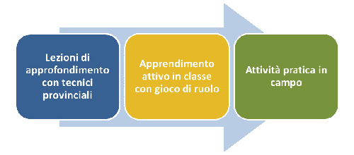 Le fasi dell'attività didattica
presso le scuole del bacino di Viverone