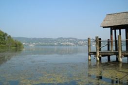 Il Lago di Viverone