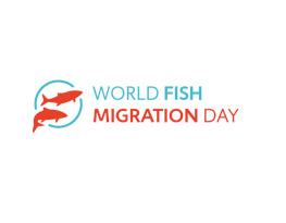 Logo World Fish Migration Day