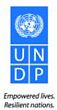 undp mini