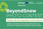 Immagine verde con la scritta Photo Contest 