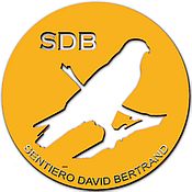 SDB 1