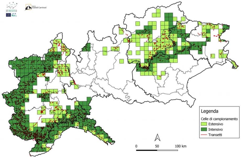 cartografia monitoraggio