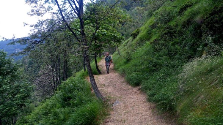 sentiero parco Conca Cialancia 1