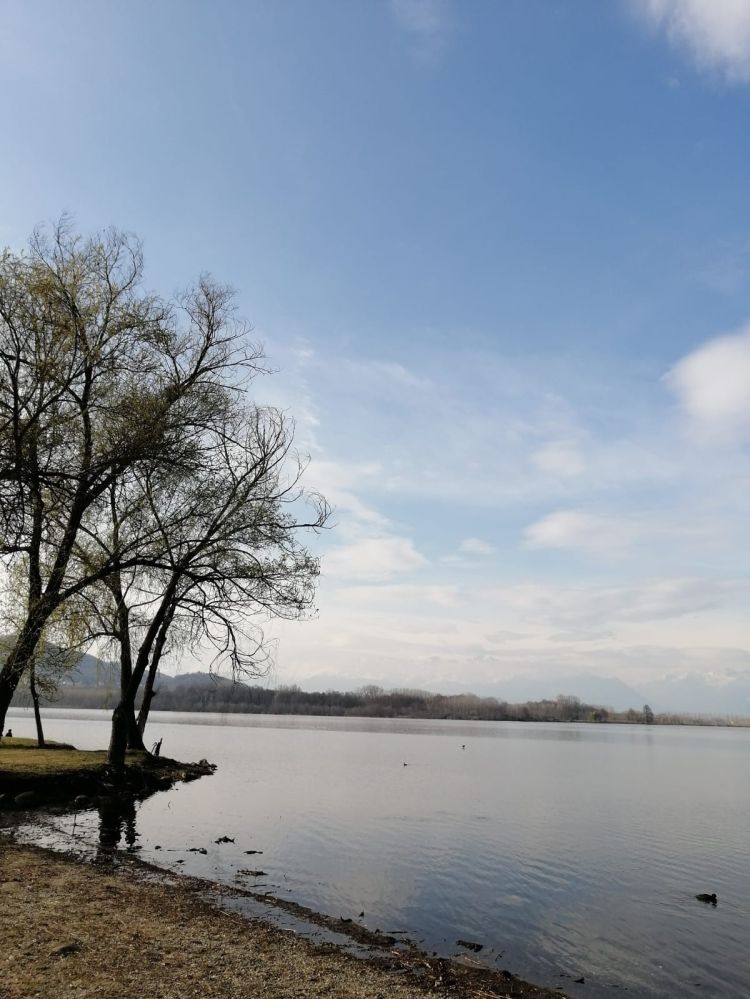 Lago di Candia repertorio 10