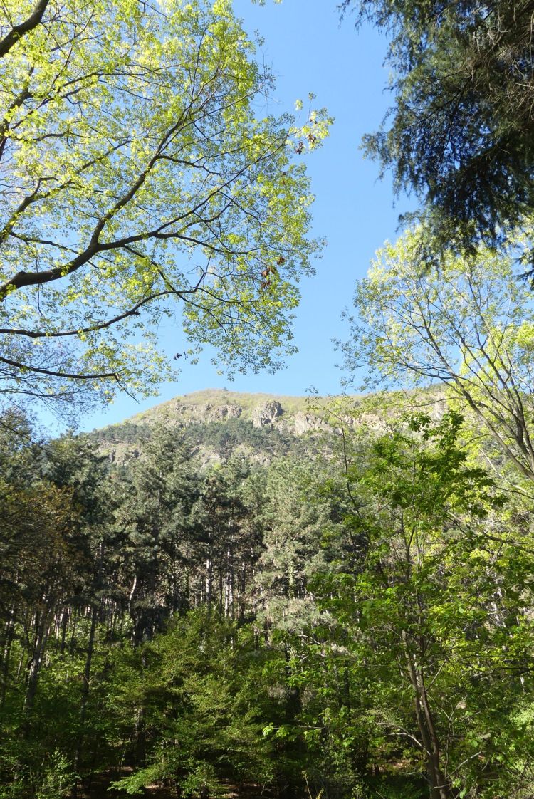 Monte San Giorgio Piossasco 1