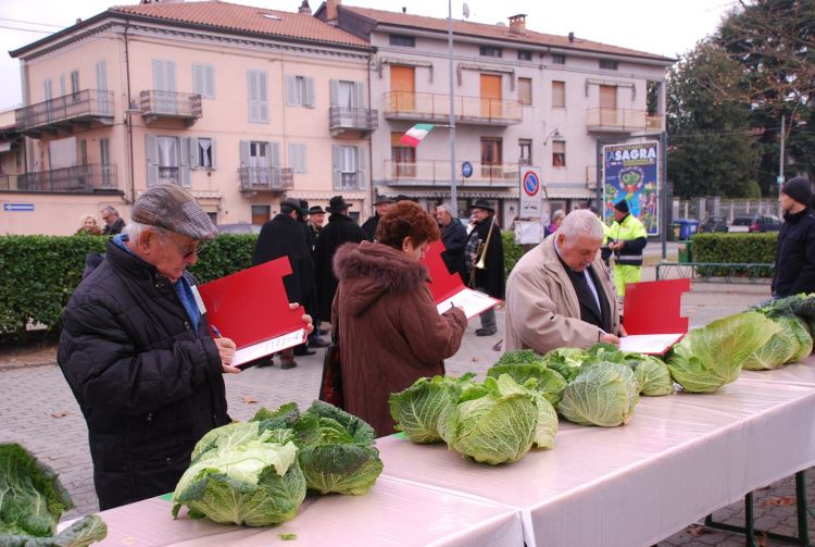 Sagra Cavolo Verza Montalto Dora repertorio 7