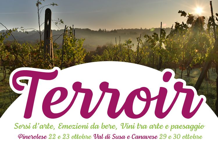 TERROIR SPECIALE 750X500