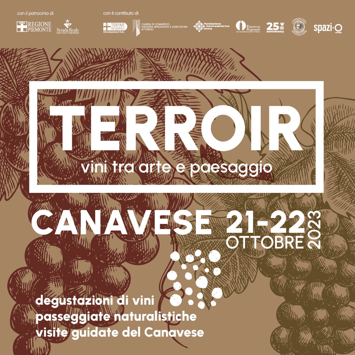 Terroir Canavese 2023 social 1