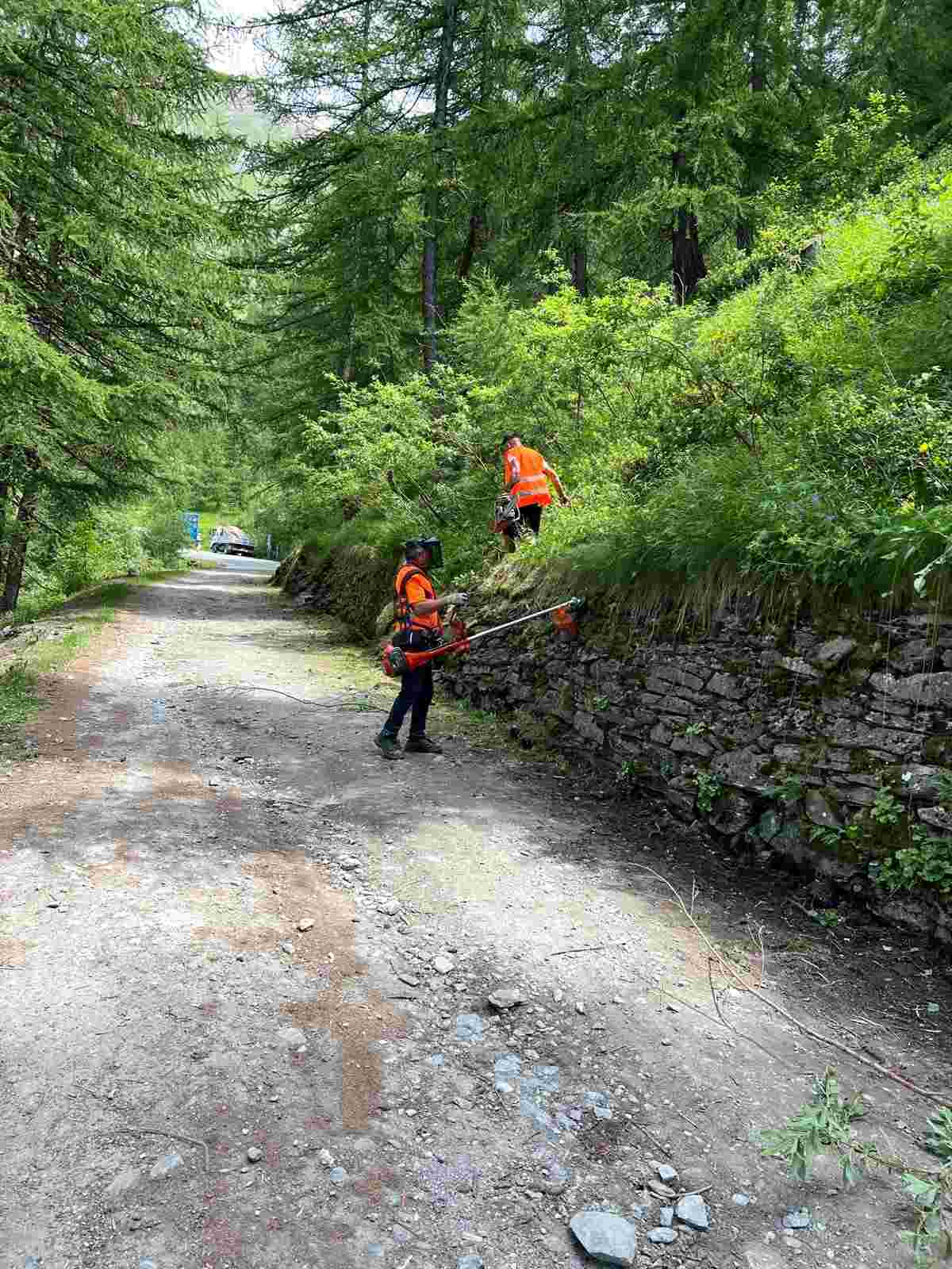 WhatsApp Image 2024-07-18 at 19.58.37 1