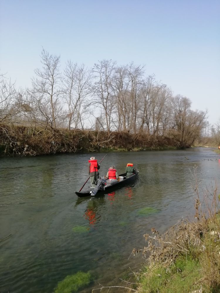 immagine di repertorio