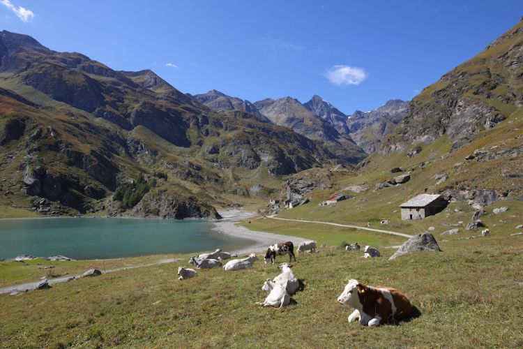 lago Malciaussia 1