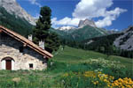 uncem montagna