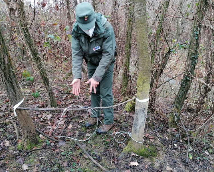 operazione anti bracconaggio Caselette 11 12 2020 1