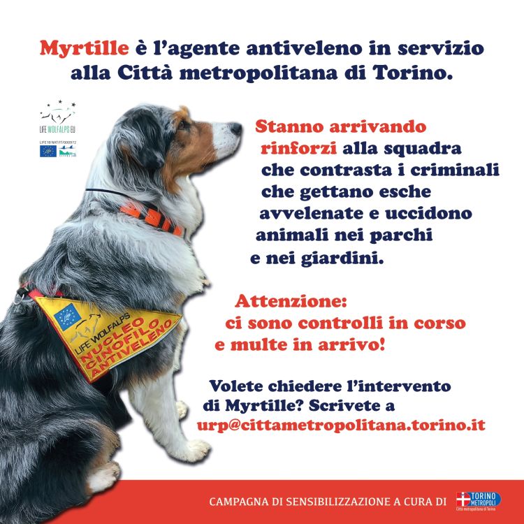 volantino informativo controlli cani antiveleno 1