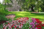 giardino fiorito