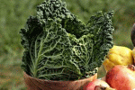 Cavolo verde