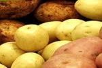 Patate