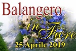 Titolo evento