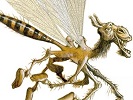animale di fantasia