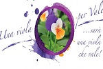 Titolo evento