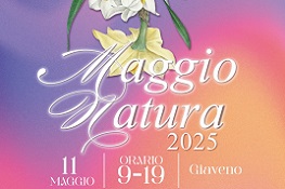 Nell’immagine una tinca e un asparago stilizzato