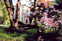 Giardino di Palazzo Cisterna in primavera (2)