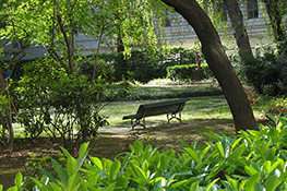 Giardino di Palazzo Cisterna in estate (3)