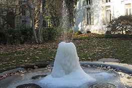 Giardino di Palazzo Cisterna in inverno (1)