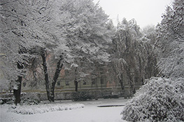 Giardino di Palazzo Cisterna in inverno (2)
